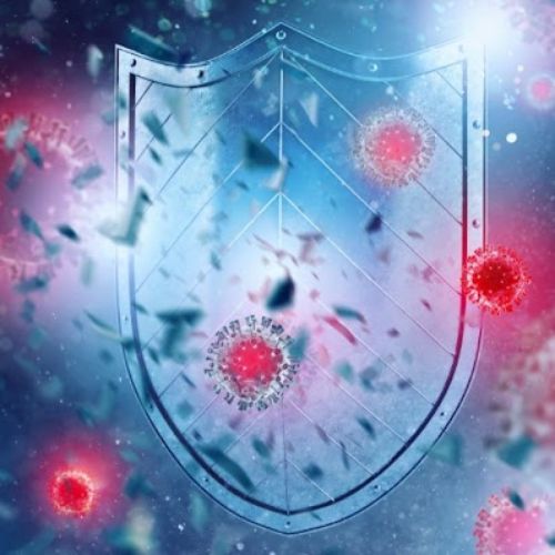Immune Health